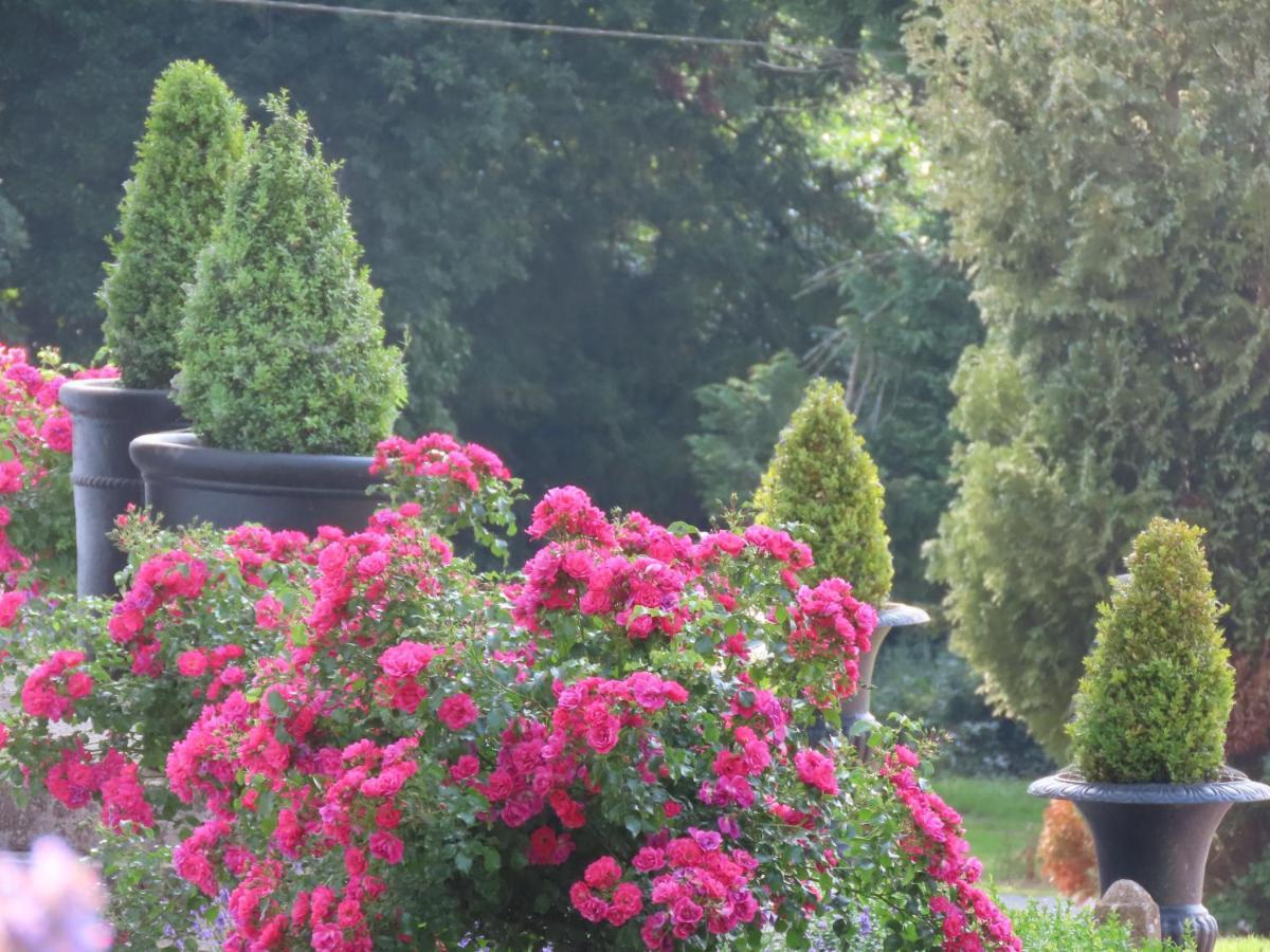 Noan Country House B&B Cashel  Eksteriør billede